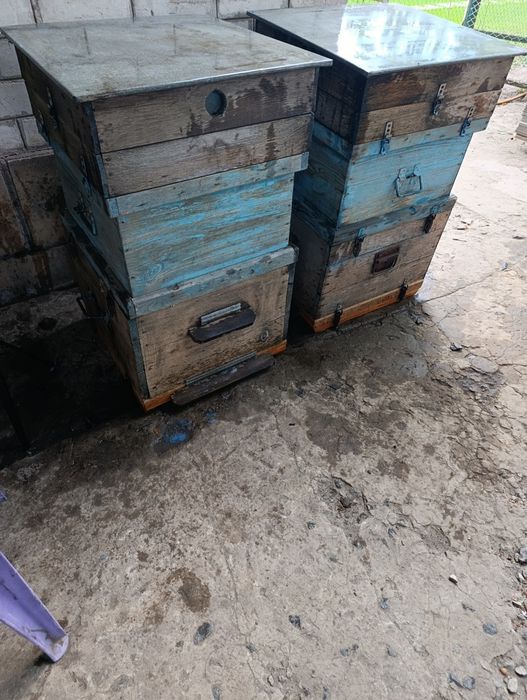 Продам двухкорпусные улики