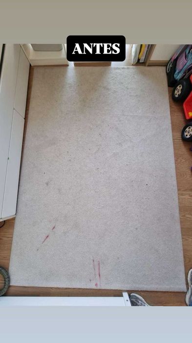 Limpeza Profissional de Tapetes | Higienização Profunda