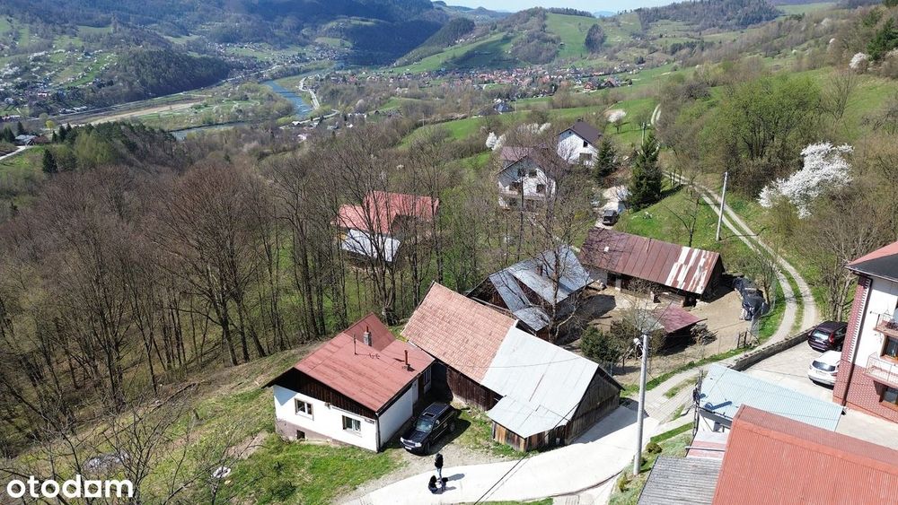 Dom do remontu + 4 działki o łącznej powierzchni 2,1ha | Piwniczna
