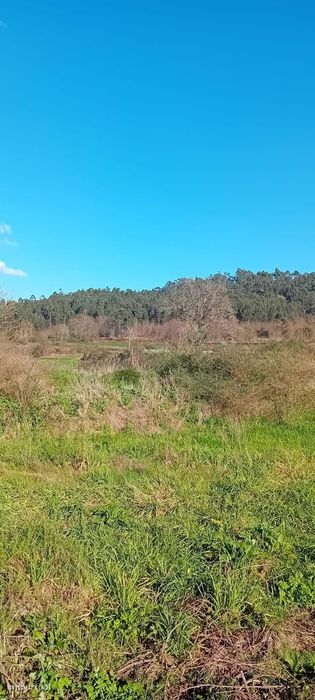 Terreno Para Venda Em Lousada