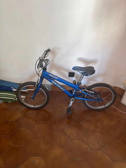Bicicleta Infantil Azul – Ideal para Criança