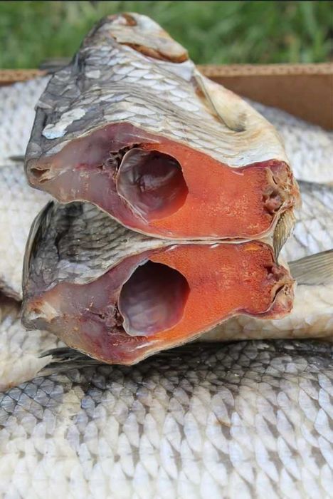 Пропонуємо живі свіжі раки є варка доставка