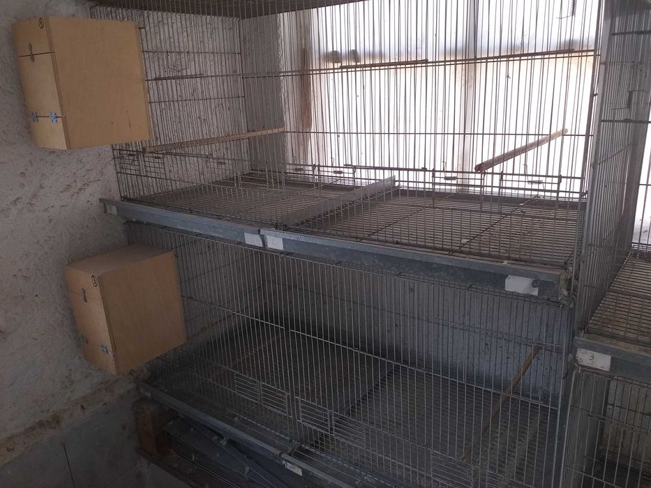 Viveiros para aves