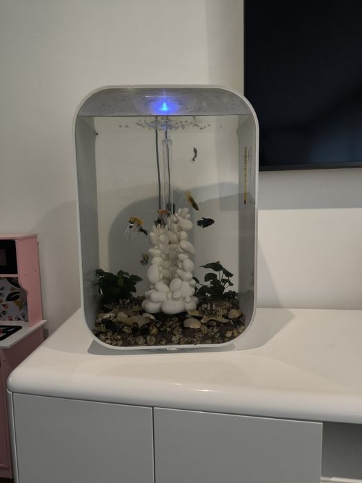 Aquário Biorb 60 L