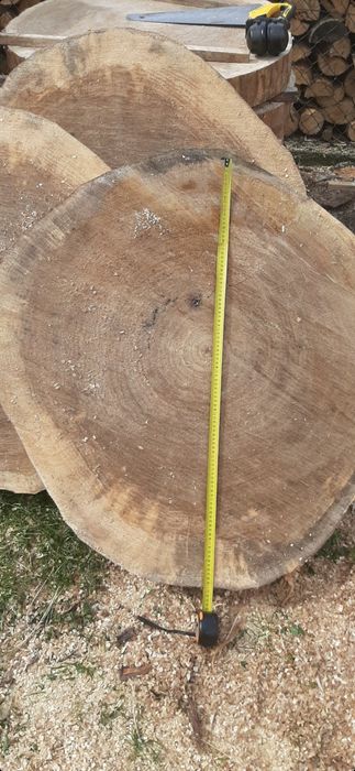 Plastry topoli 70-100cm