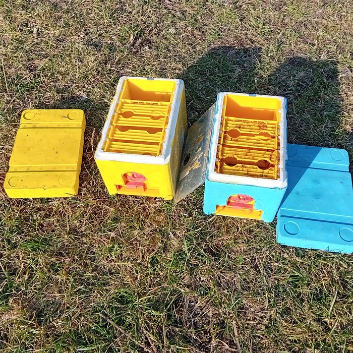 Ulik weselny 4 ramkowy pszczoły