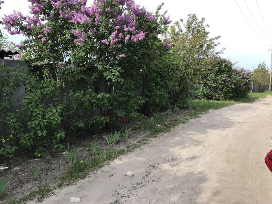 Земельный участок в Тростянце