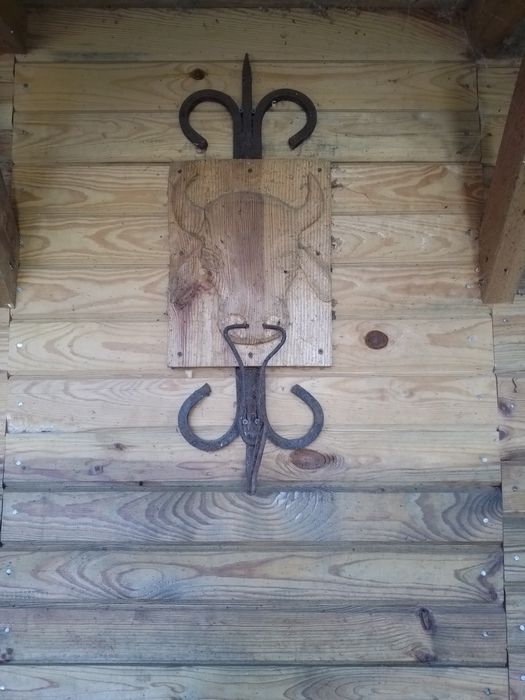 Молоко, творог, сливки, масло, згущенка з доставкою!