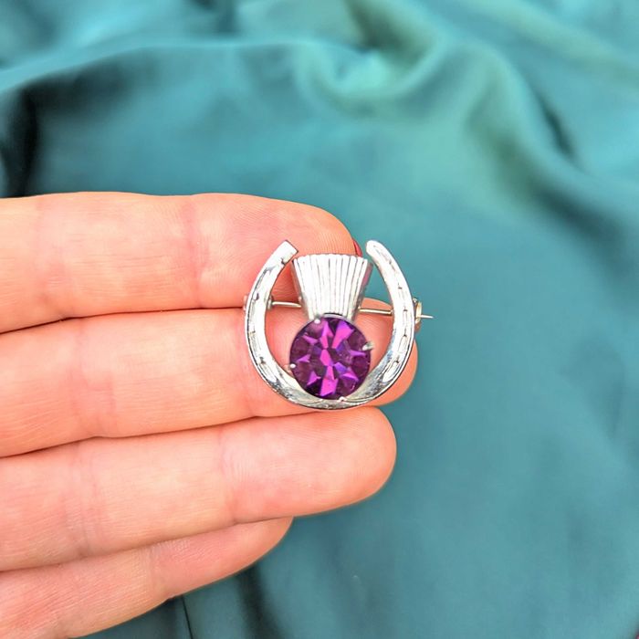 Вінтажна брошка-амулет "Підкова з чортополохом"