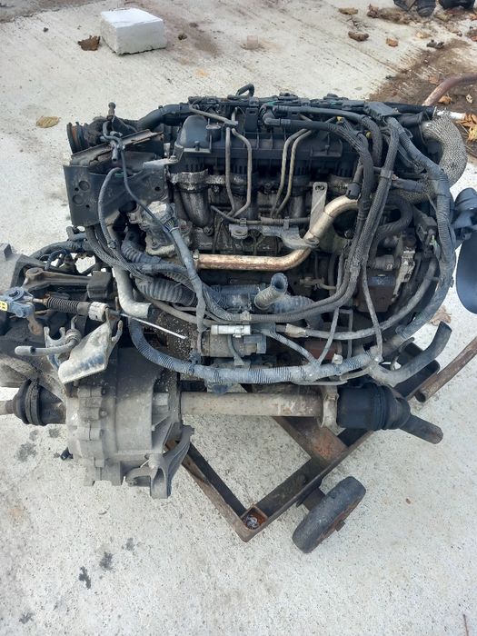Silnik 1.6 tdci ford Focus mk2