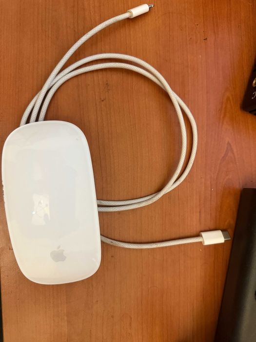 Apple Magic Mouse 2502596075730380802