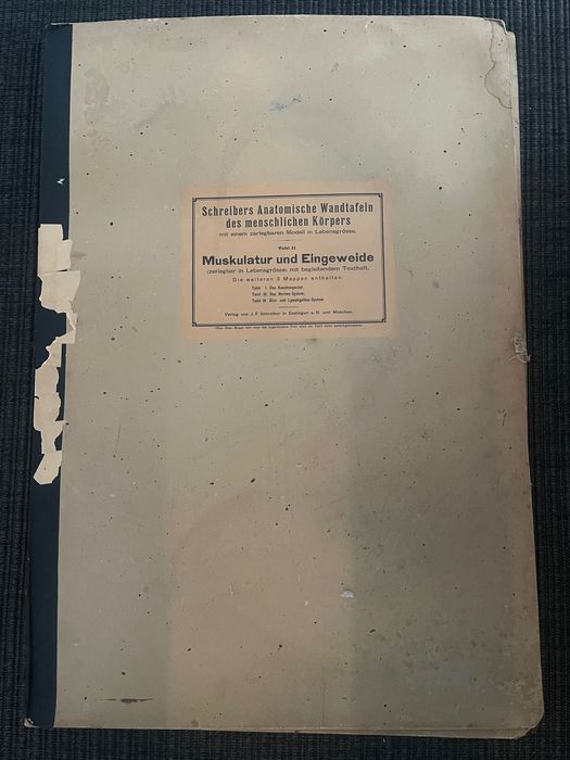 Tablice anatomiczne. Antyk. Schreibers Anatomische Wandtafel..