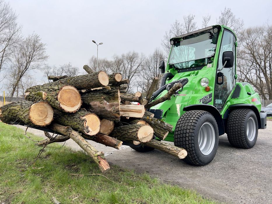 Wycinka i pielęgnacja drzew Katowice i okolice