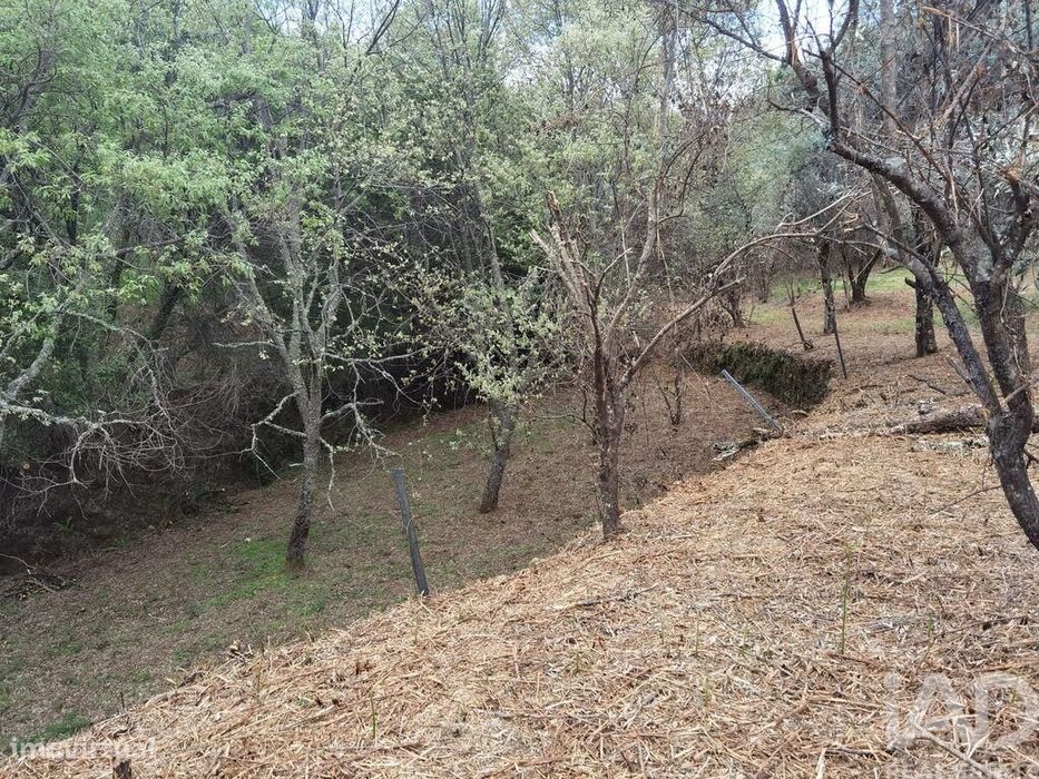 Casa de Campo em Aldeias e Mangualde da Serra de 40,00 m2