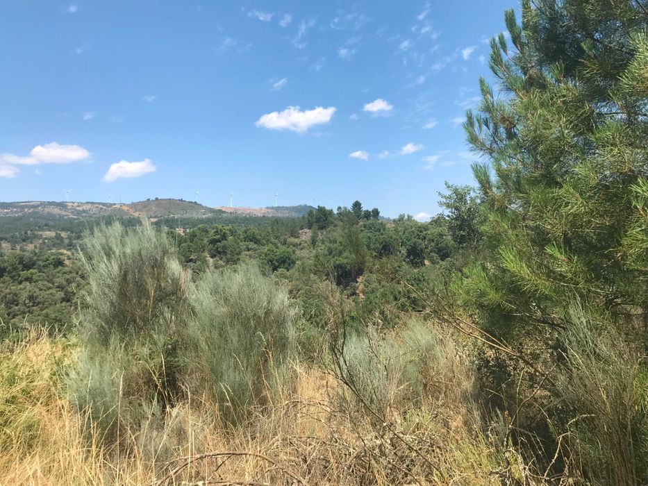 Conjunto de Terrenos Rústicos e Urbanos para Venda