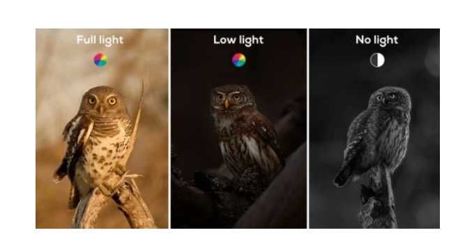 Fotopułapka kamera noktowizyjna iZEEKER iG600 4K 48MP WIFI OBIEKTY X2