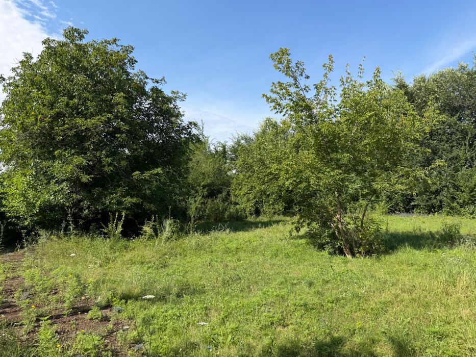Продам коммерческое помещение с. Николаевка (Новомосковский район)