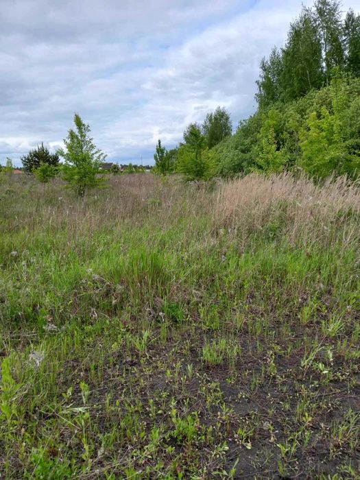 Нижча Дубечня, 10 соток для будівництва
