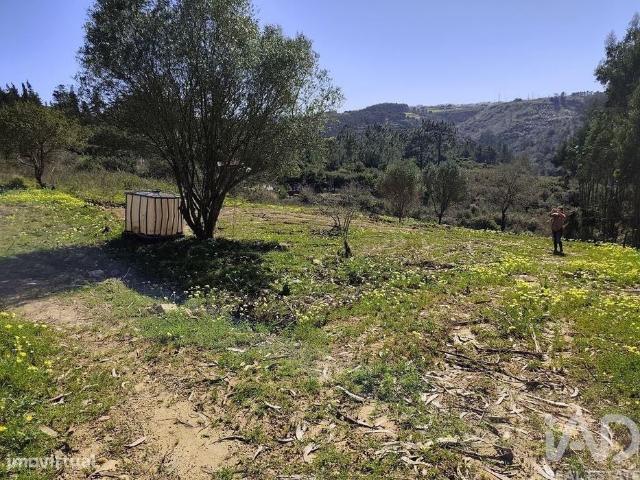 Terreno Agrícola em Mafra