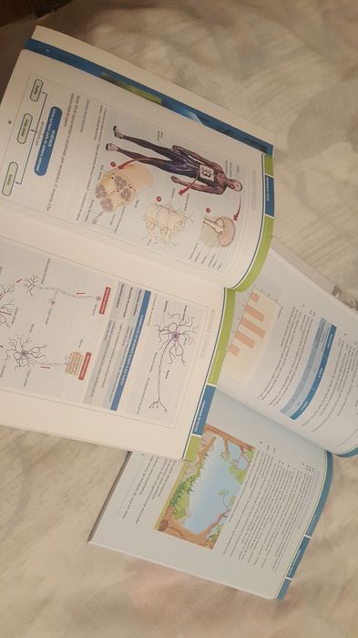 Preparar os Testes Ciencias Naturais 7º e 9º ano