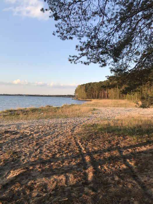 Wynajmę domki letniskowe