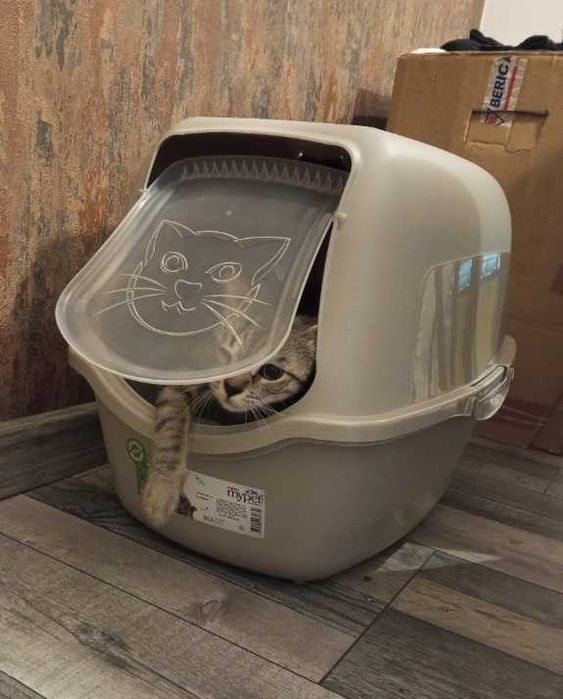 *NOWA* KUWETA DLA KOTA KOTÓW na żwirek kuweta z filtrem