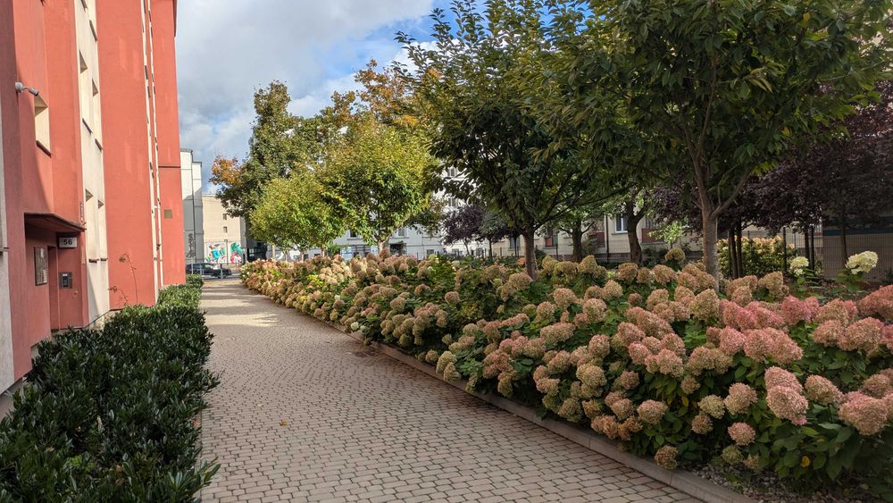 REZERWACJA Kawalerka 30,5 m²