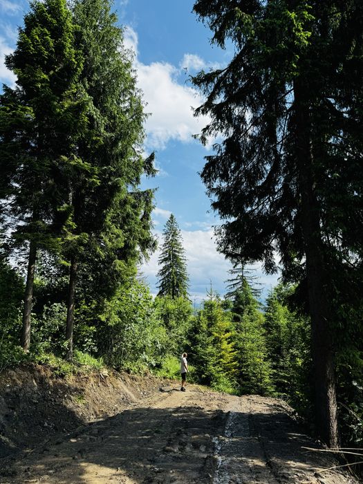 Земельна ділянка Славсько 11 соток з док для Будівництва