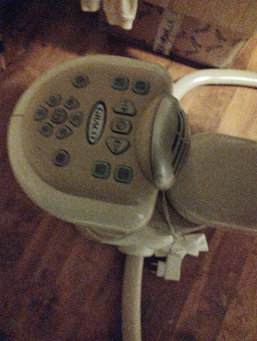 Bujaczek beżowy  z pozytywką