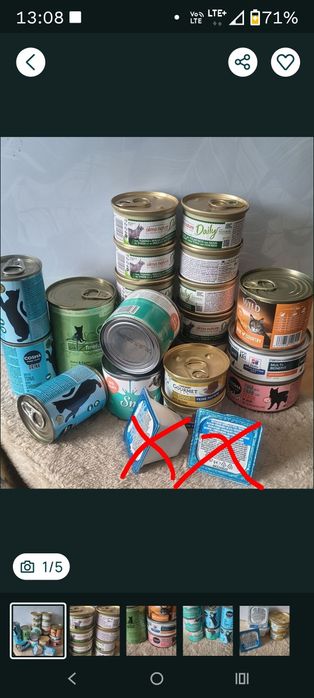 Mokra karma dla kota