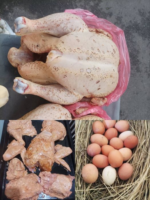 Домашні бройлери тушкою