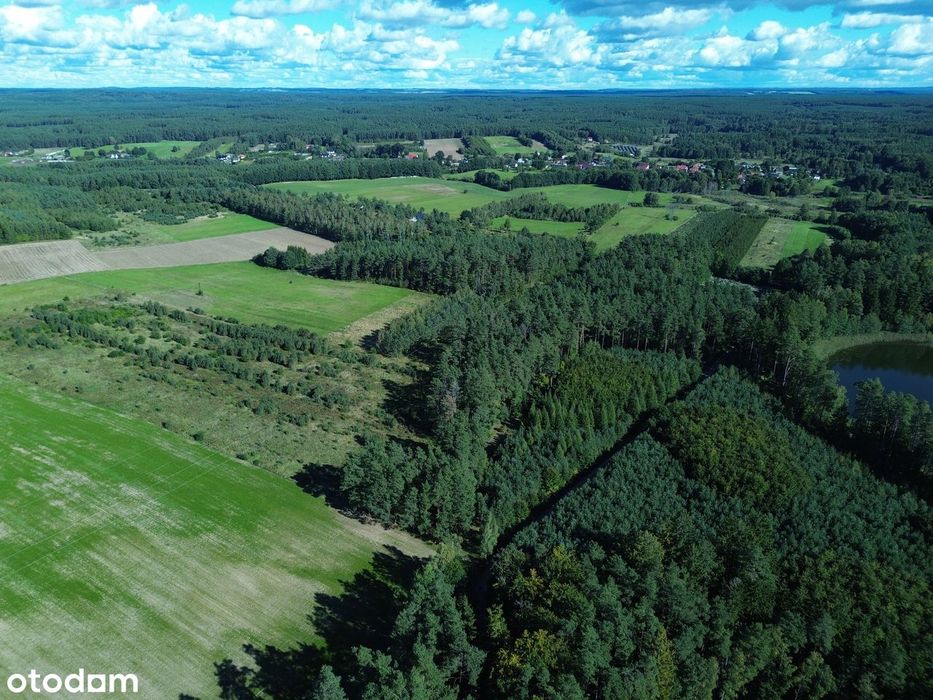 Grunt rolny 3,49 ha – rozległy teren w otoczeniu lasów i zieleni - Widok 3