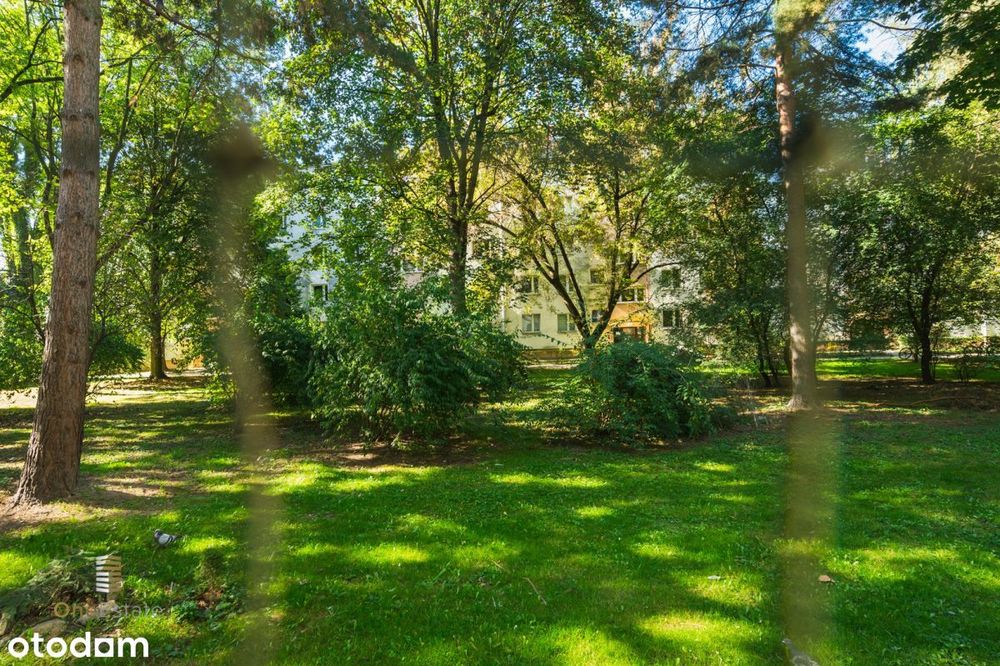 2 pokoje | 36,4 m² | balkon | piwnica | Dąbie!