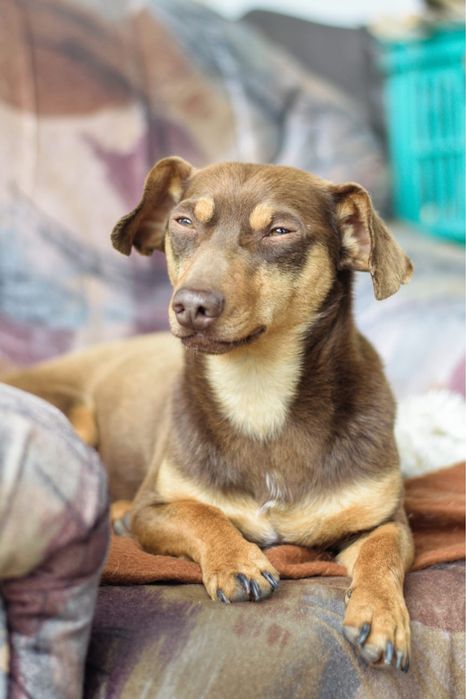 Tomasz szuka najlepszego domu