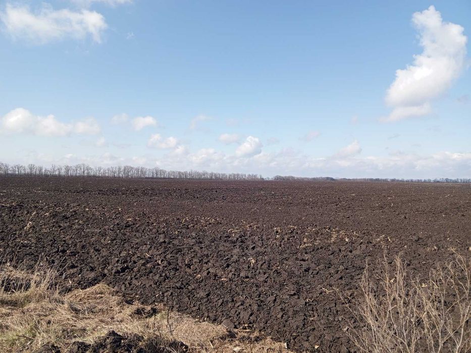 Продаж двох ділянок сг призначення в с. Леськи - Вид 4