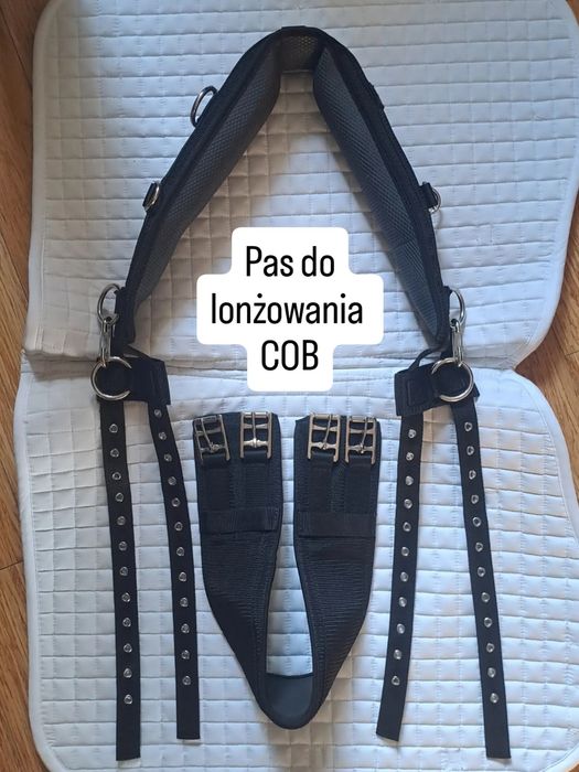 Pas do lonżowania COB M COVALLIERO