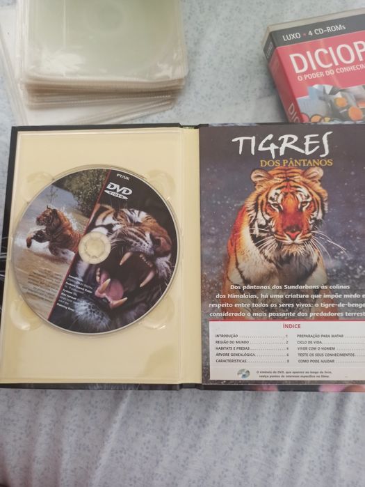 DVD Tigre dos Pântanos