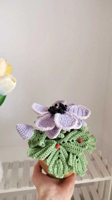 Zawilec na szydełku, kwiaty, anemon handmade