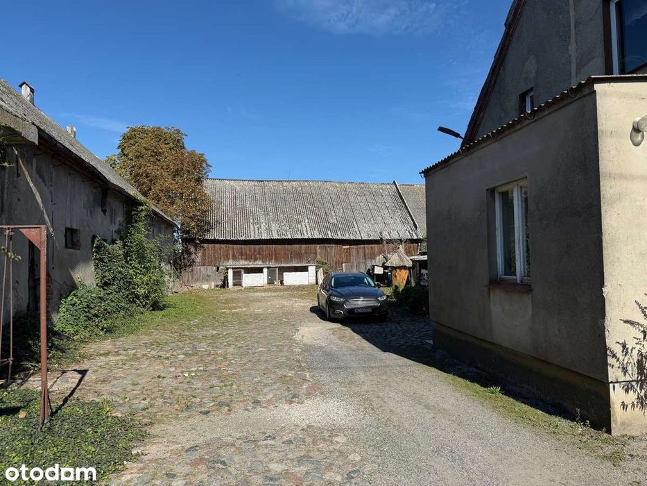 Duża działka z domem i zabudowaniami- Padniewko, gm. Mogilno - Widok 2