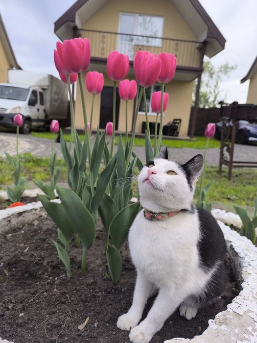 Сдам  дом  посуточно