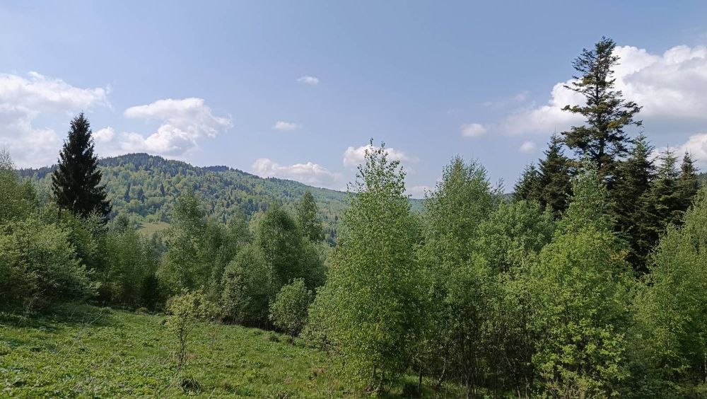 Земельна ділянка Новий Кропивик