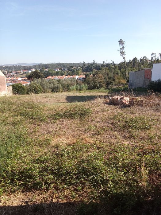 Terreno para construção com 3002 metros, com casa antiga para reconstruir.