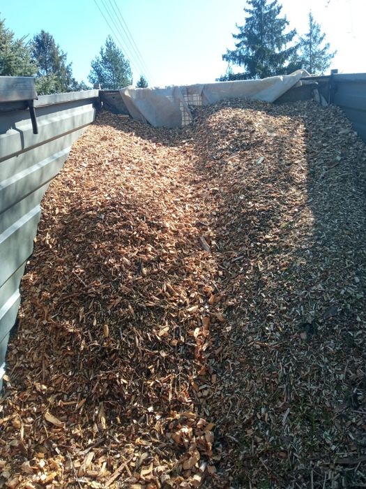 Sprzedam zrębki, zrębka drzewna