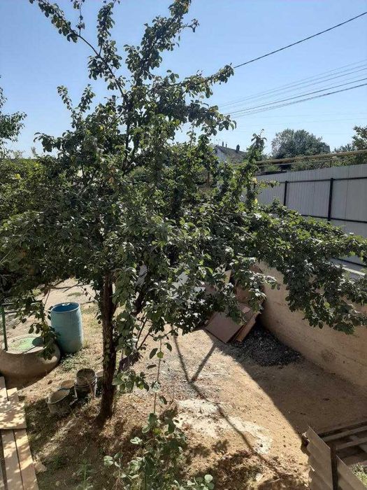 Дом по адресу ул. Под Голоском (площадь 226 м²) - Atlanta.ua - фото 12