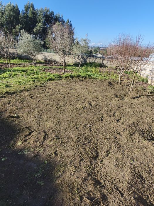 Jardins e afins com dedicação