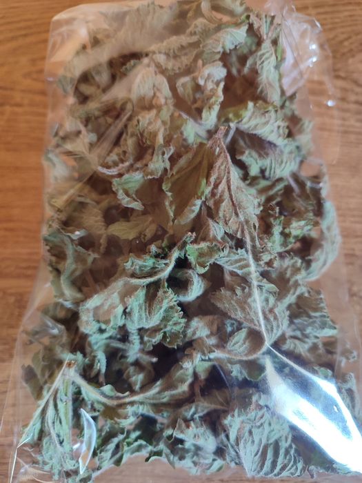 Трави на чай: суниця, липа, м'ята