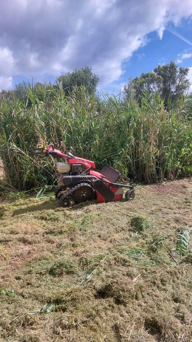 Limpeza de terrenos com destroçador pedestre- rápido e eficaz