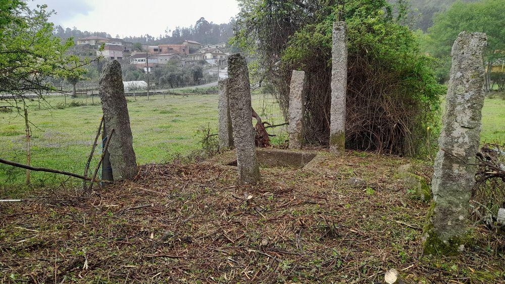 Limpeza de mato junto a edificações.