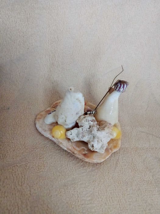 Presépio Miniatura Conchas Artesanal