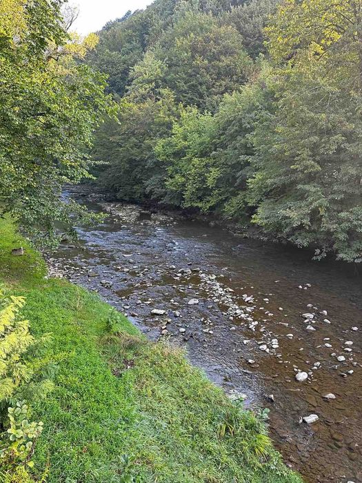 Здаються апартаменти біля санаторію "Квітка полонини".